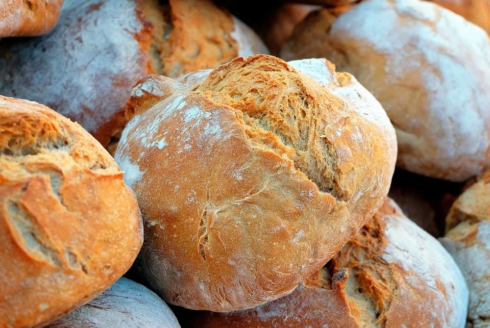 Beautiful Photo bread breakfast