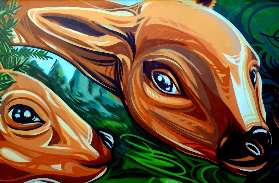 Animal art colorful