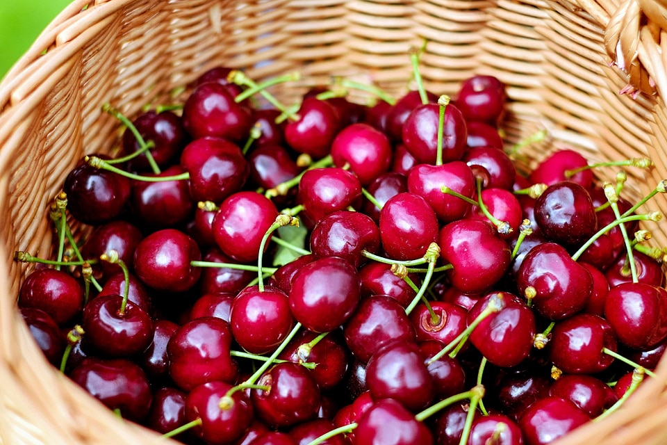 Beautiful Photo calorie cherry