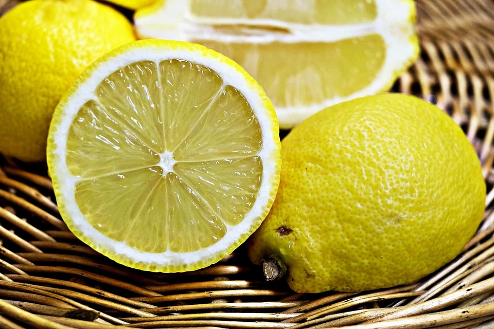 Citrus diet dietary