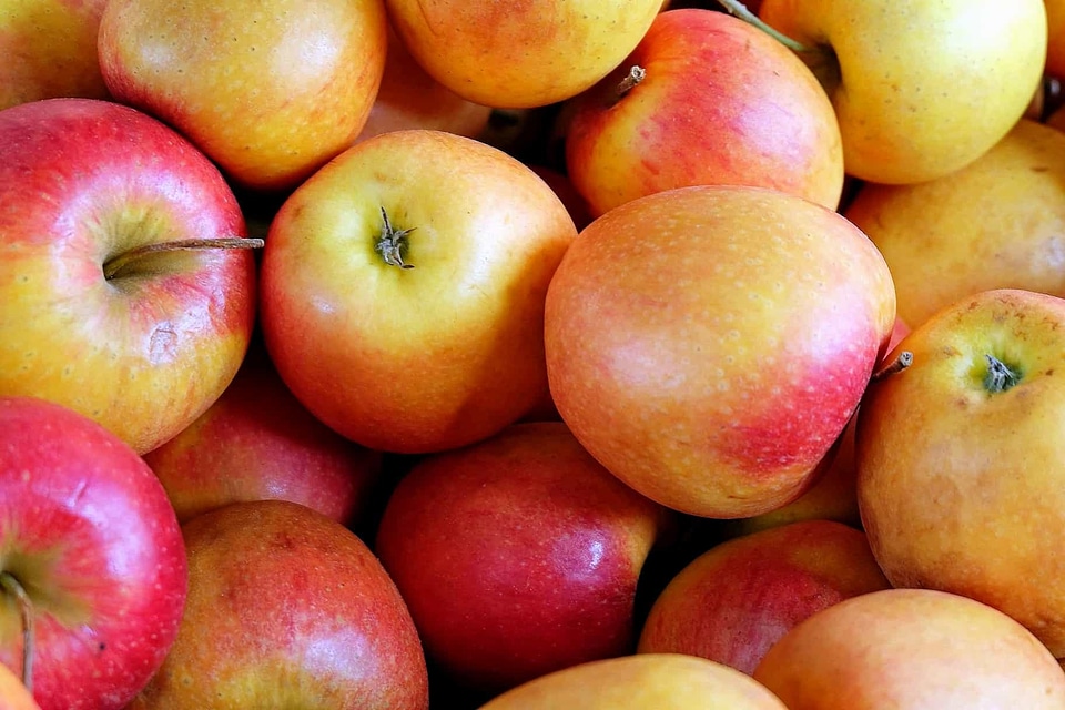 Apple apples beautiful photo