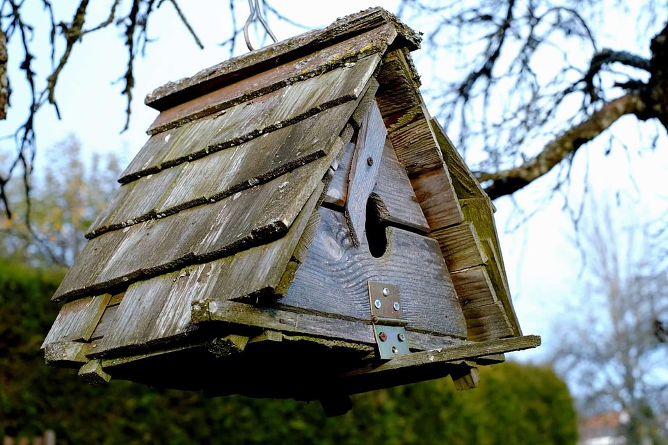 Daylight fauna house