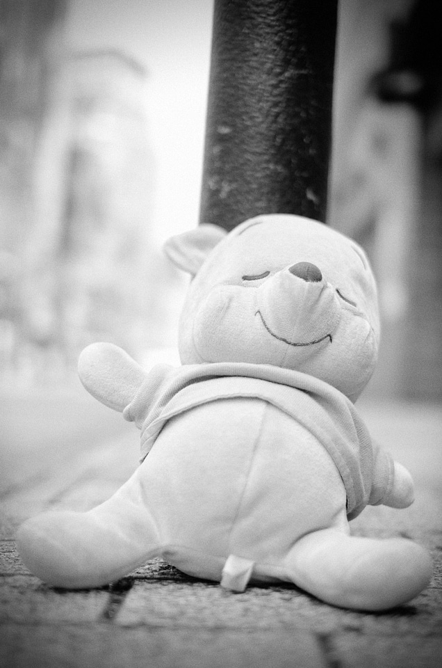 Lost and found road plush