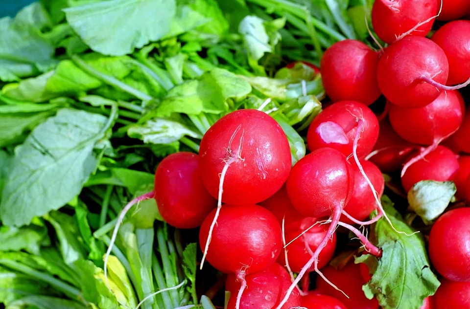 Beautiful Photo calorie delicious