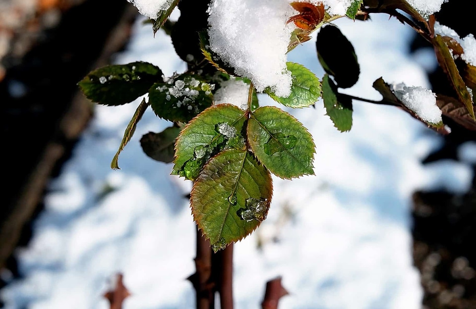 Cold ice landscape