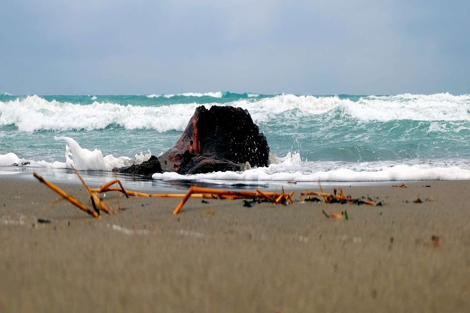 Beach coast coastline photo