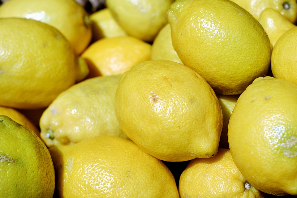 Citrus diet dietary