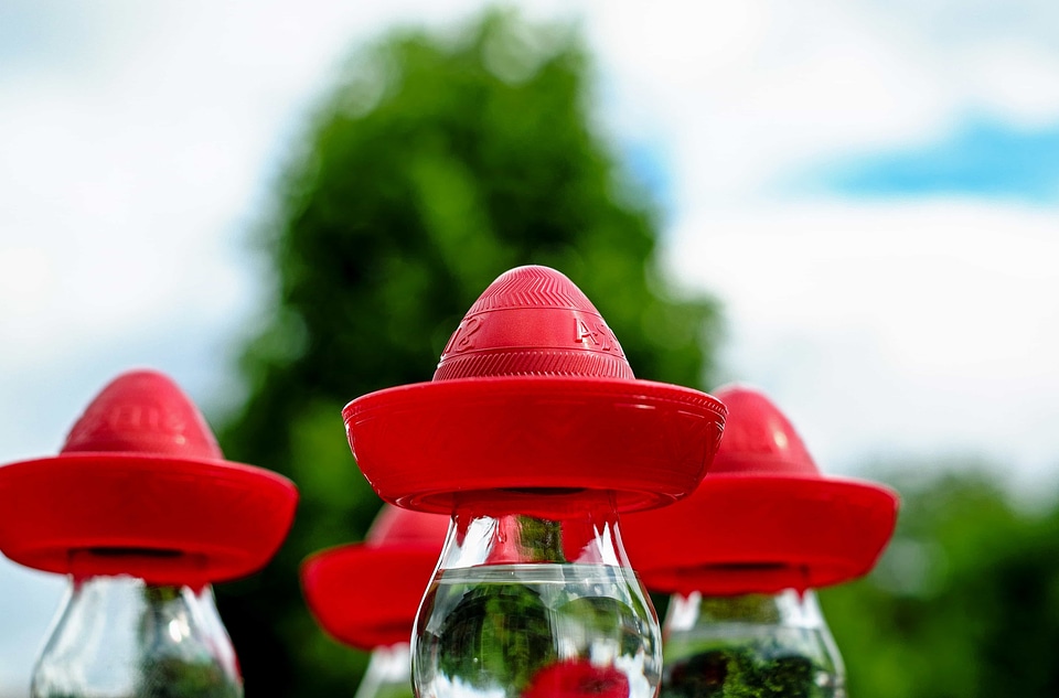Bottle glass landscape