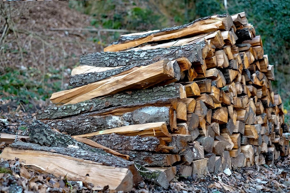 Branch climate ecology