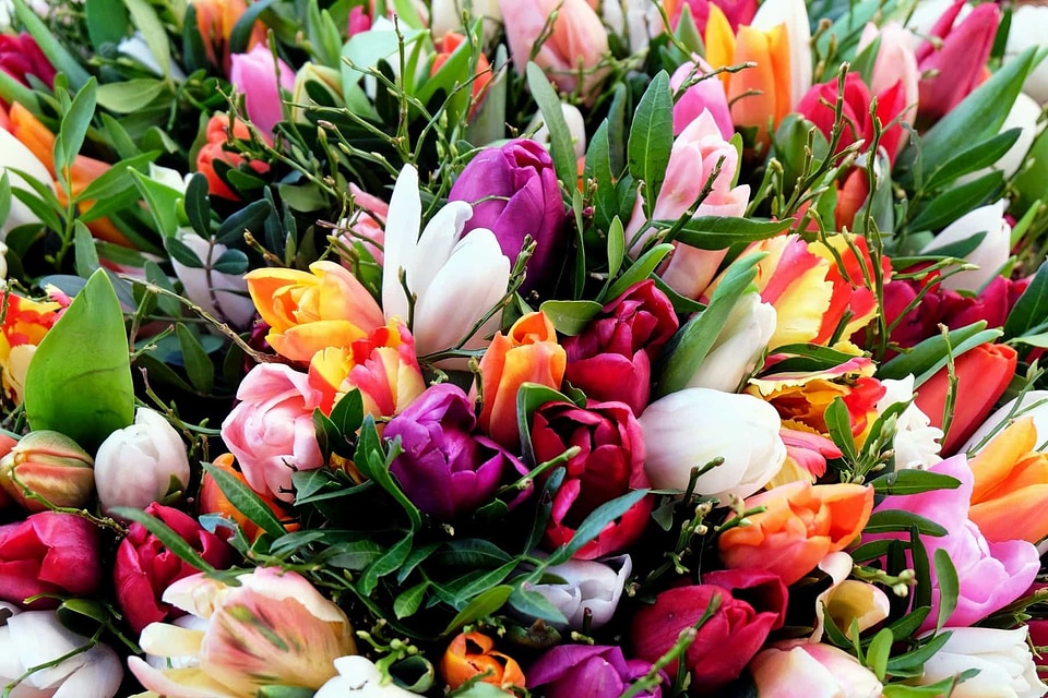 Arrangement beautiful flowers beautiful photo