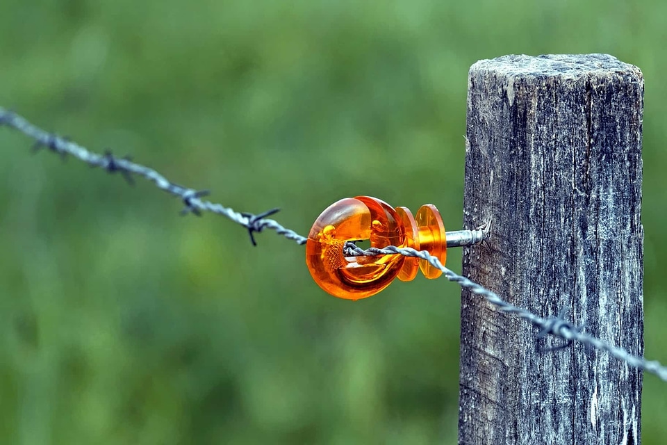 Barbed Wire daylight fence