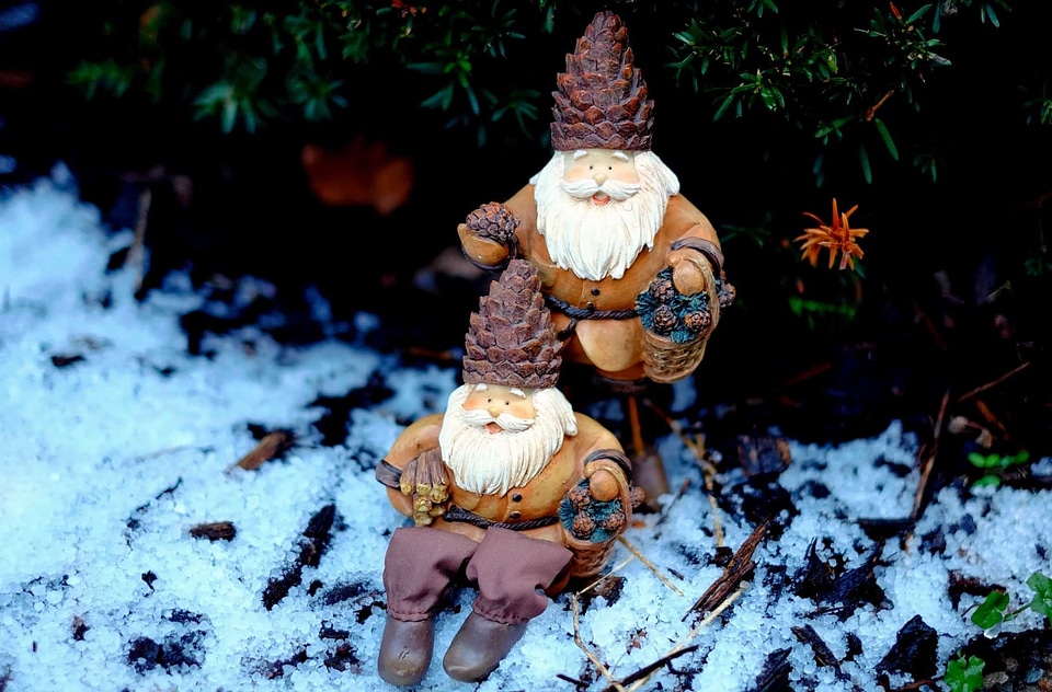 Beard branch climate