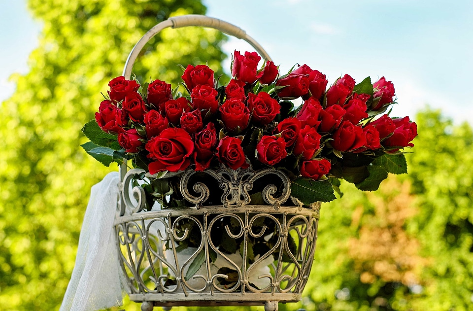 Arrangement beautiful beautiful flowers