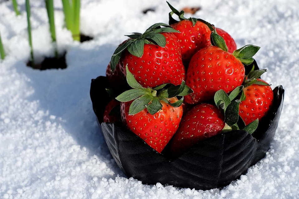 Beautiful Photo biscuit calorie