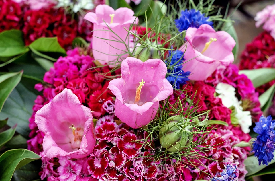 Arrangement beautiful beautiful flowers