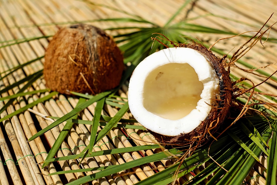 Beautiful Photo coconut diet
