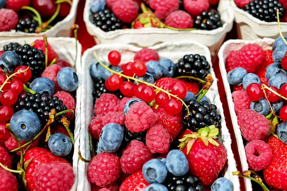 Beautiful Image beautiful photo berry