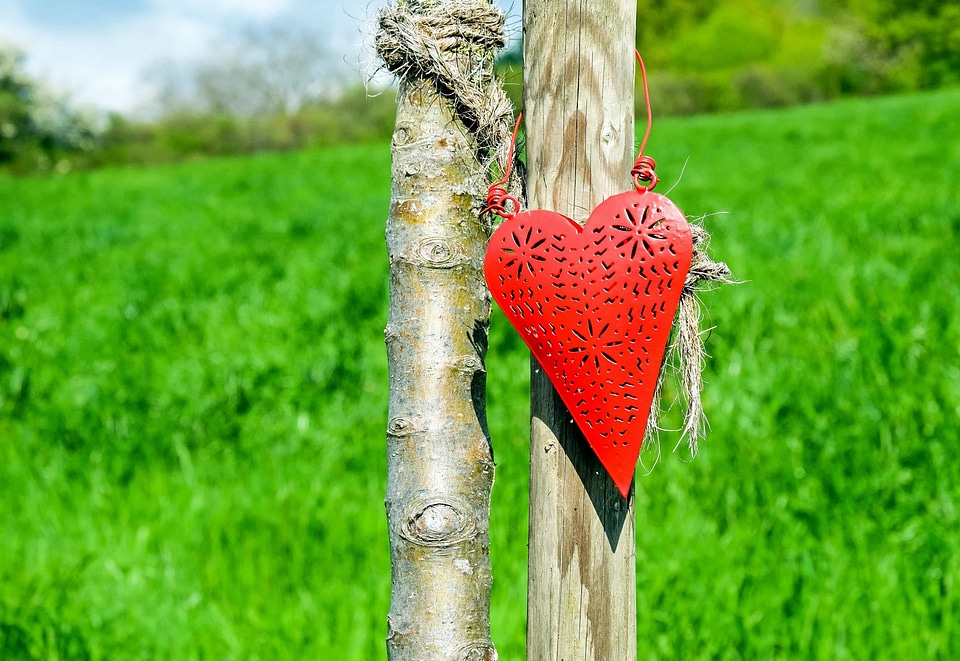 Daylight decoration field
