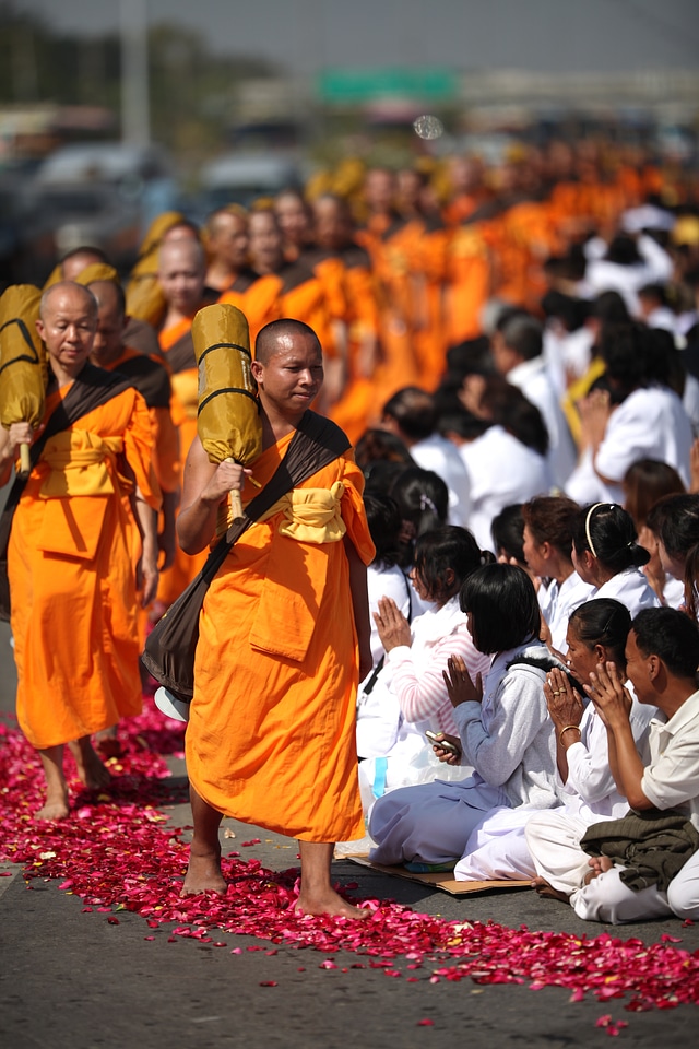 Orange buddhists walk photo