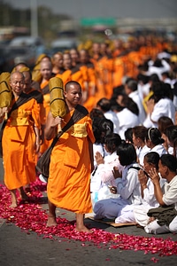 Orange buddhists walk photo