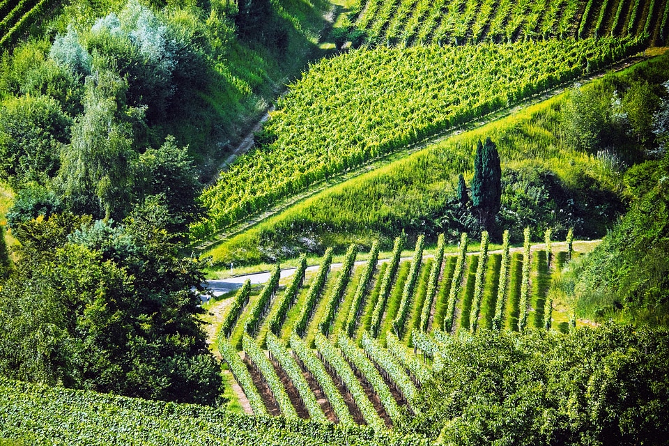 Agricultural agriculture countryside