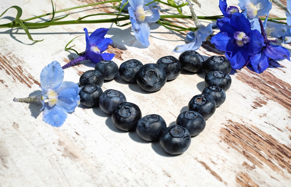 Beautiful Flowers beautiful photo berries