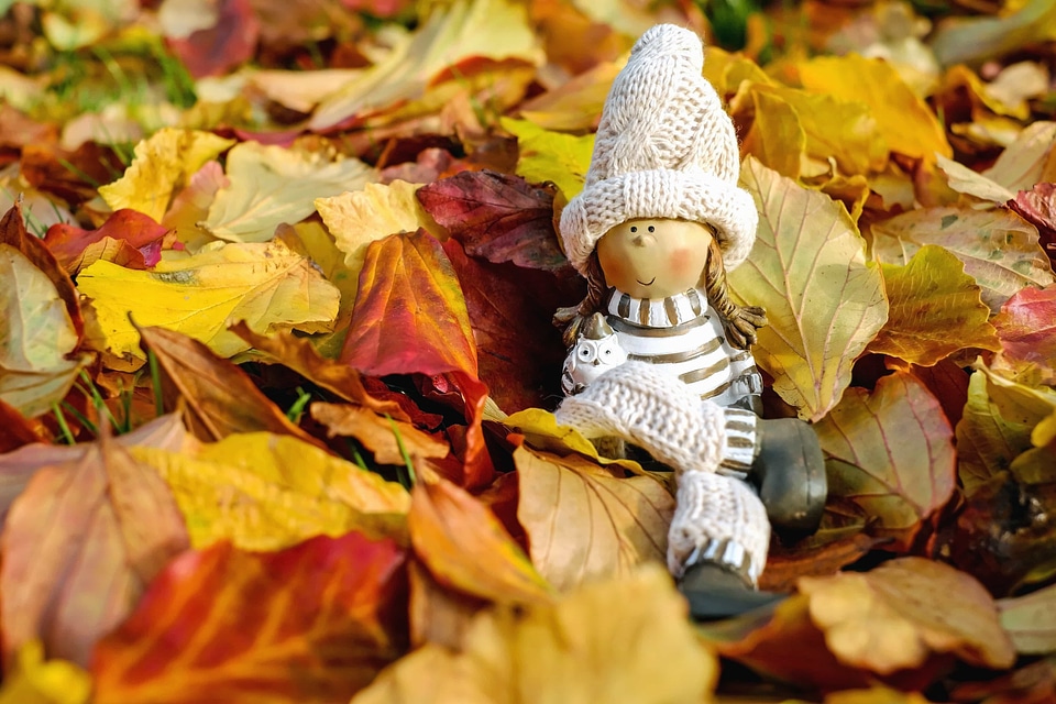 Autumn autumn season branch