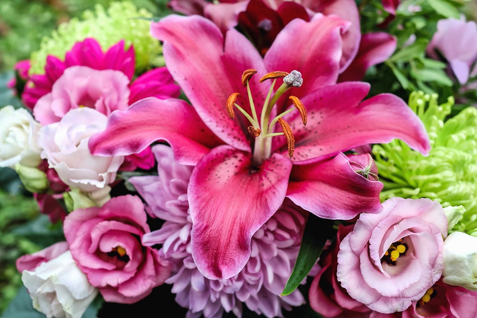 Arrangement beautiful beautiful flowers