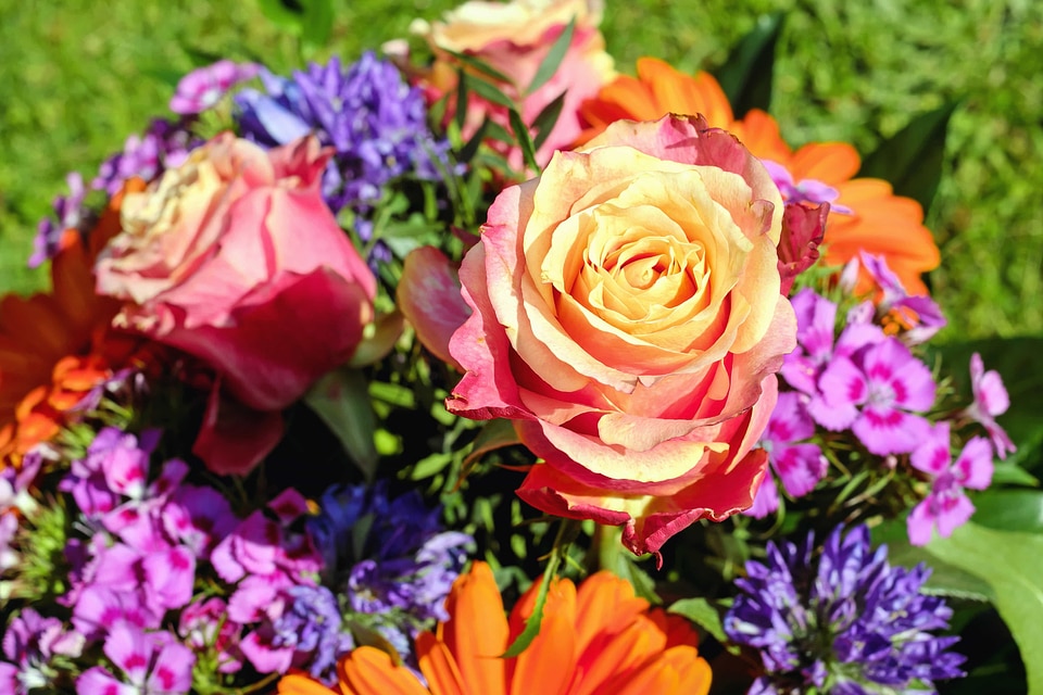 Arrangement beautiful flowers beautiful photo