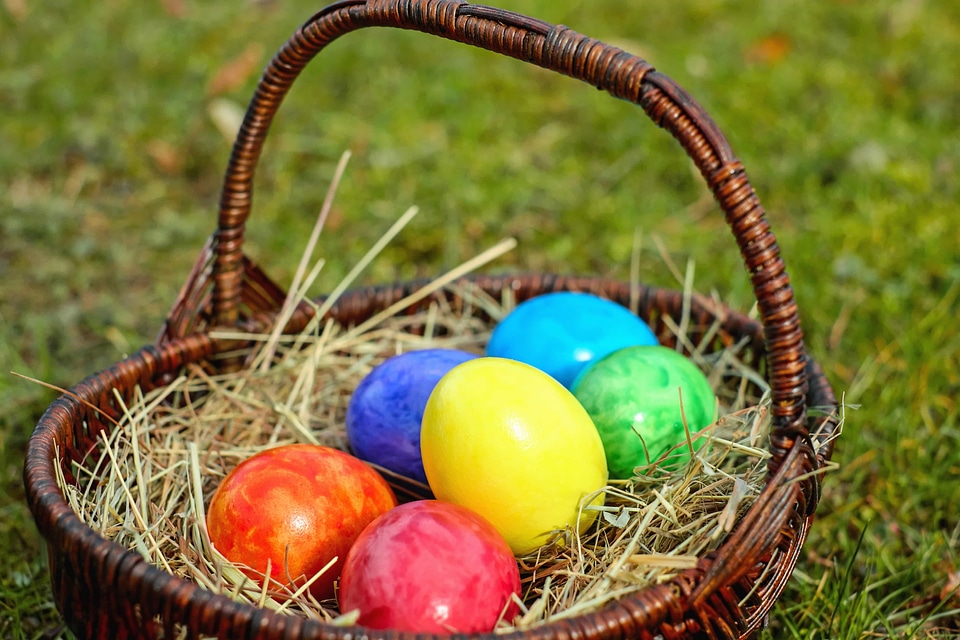 Basket colorful colors