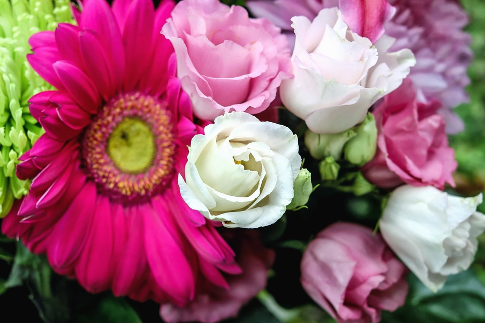 Arrangement beautiful flowers beautiful photo