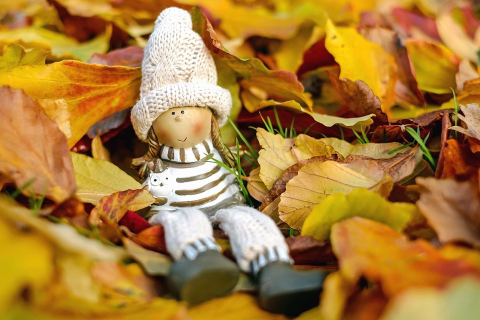 Autumn autumn season decoration