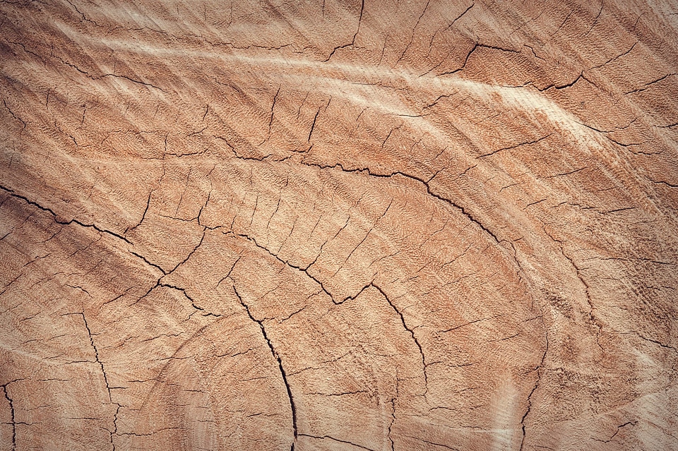 Brown design detail