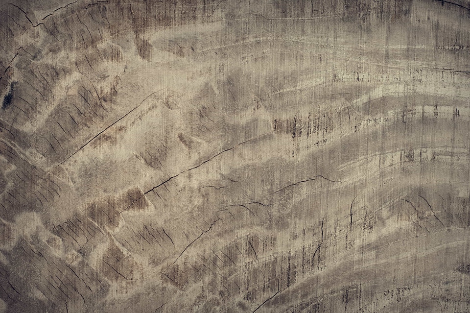 Brown material nature