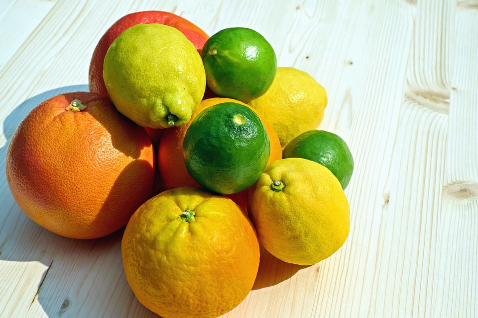 Citrus diet dietary