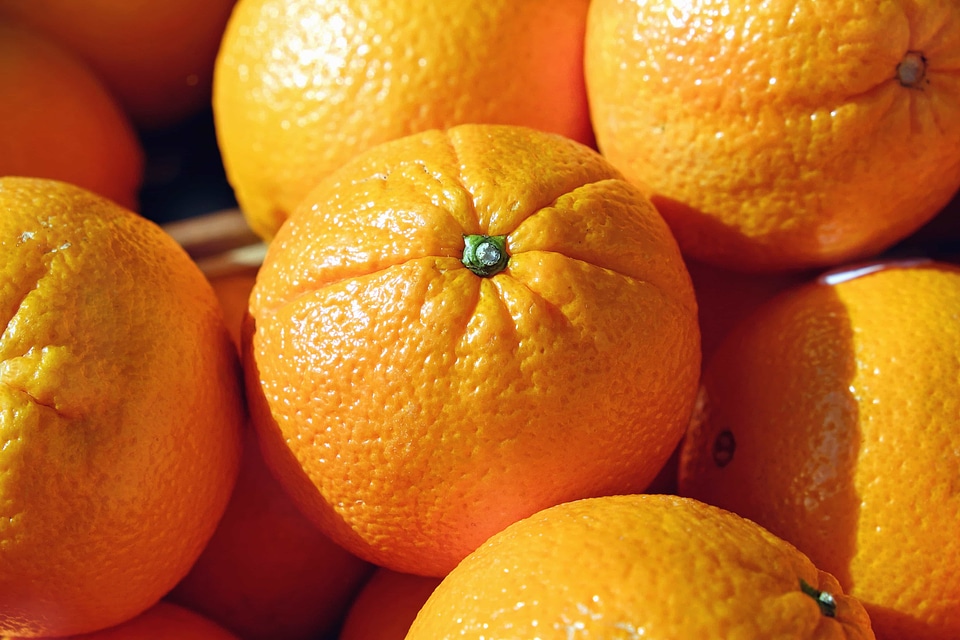 Citrus diet dietary