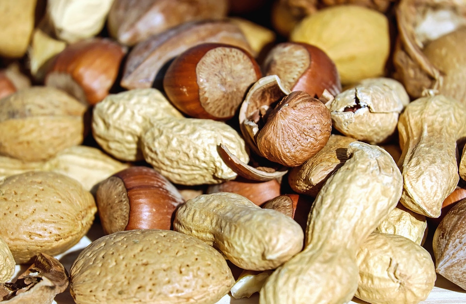 Diet food hazelnut