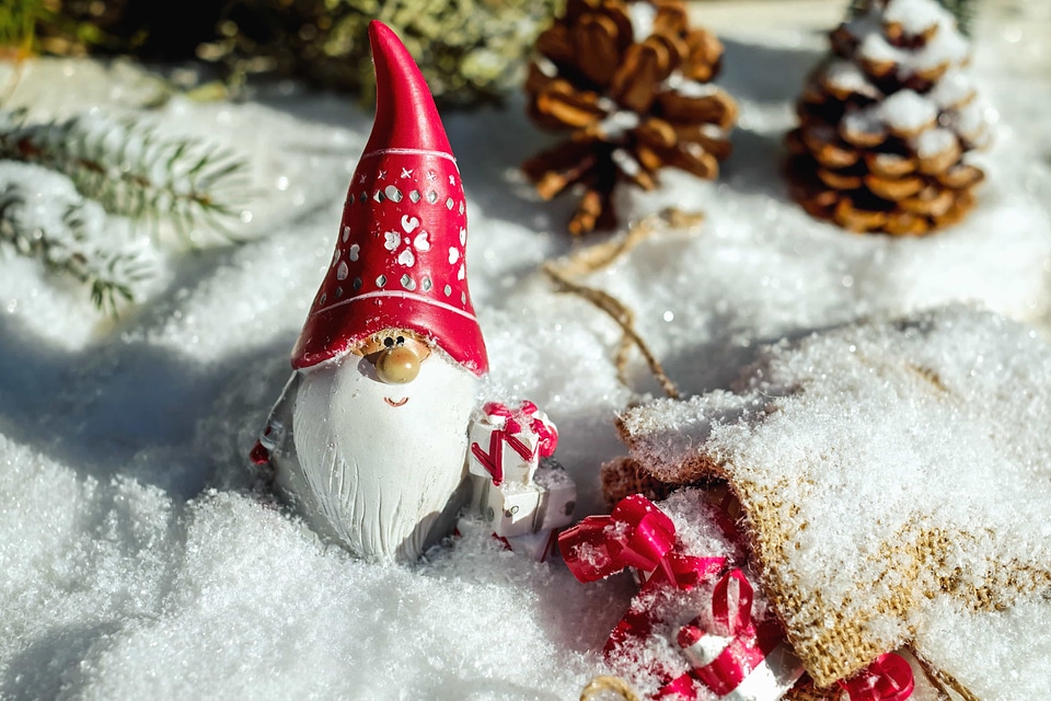Decoration doll frost