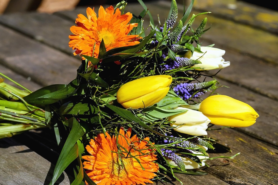 Beautiful Flowers bloom blooming