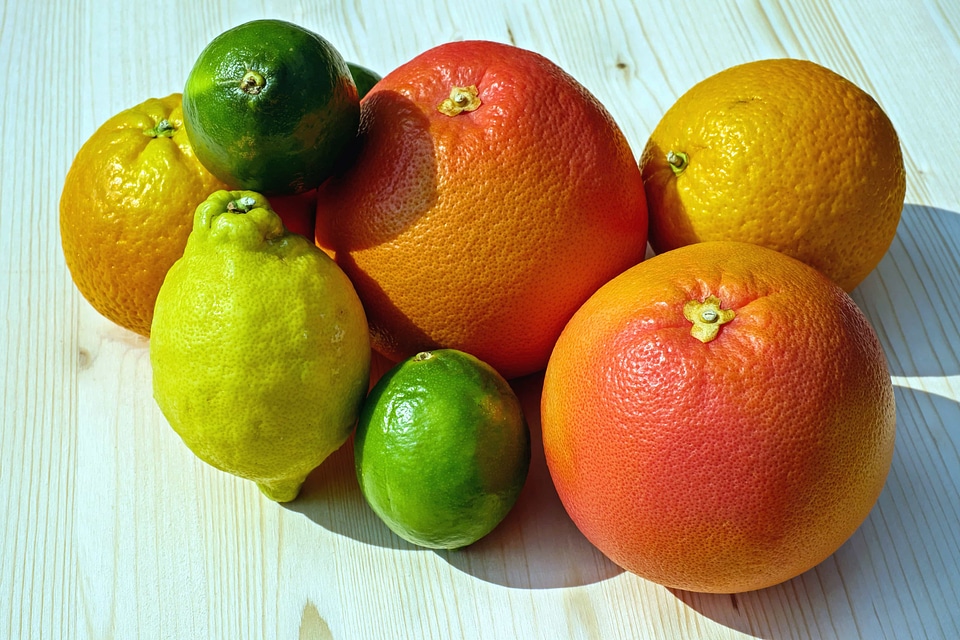 Beautiful Photo citrus delicious