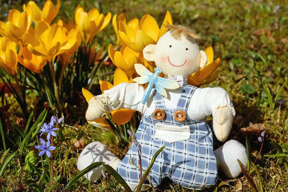 Attire beautiful flowers blooming