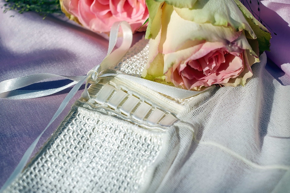 Bag beautiful flowers blooming
