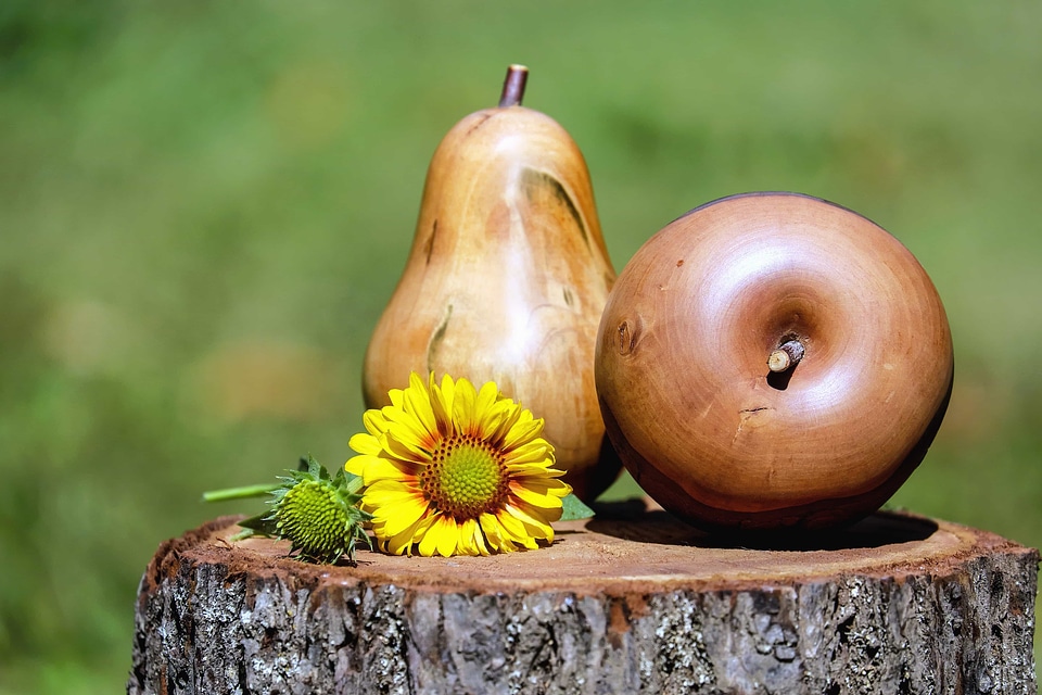 Beautiful Photo diet dietary