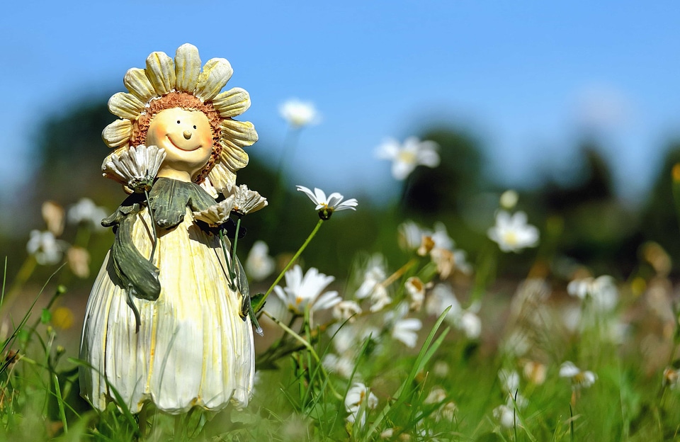 Art beautiful flowers beautiful photo