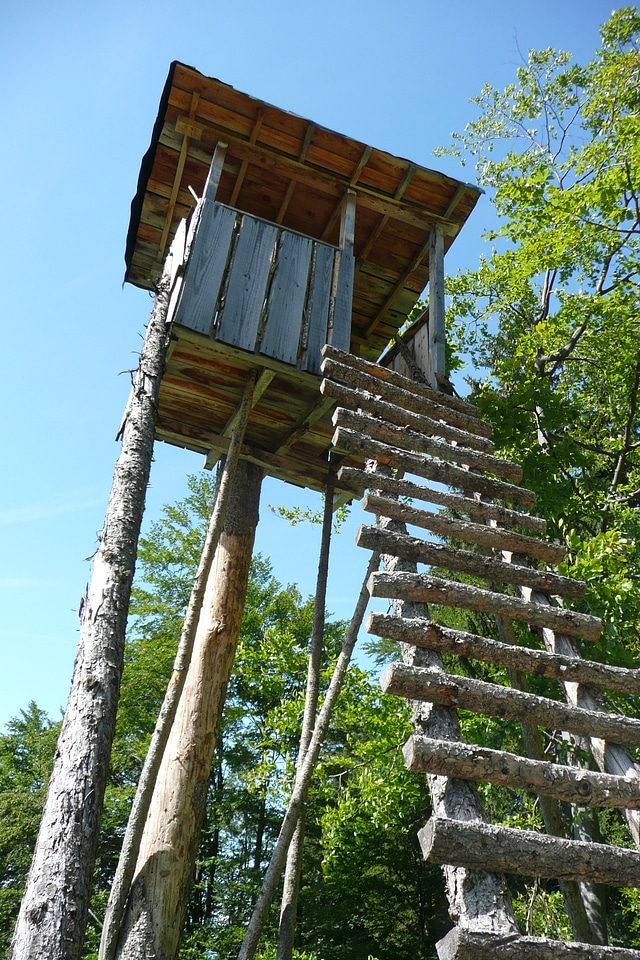 Carinthia hunting wood