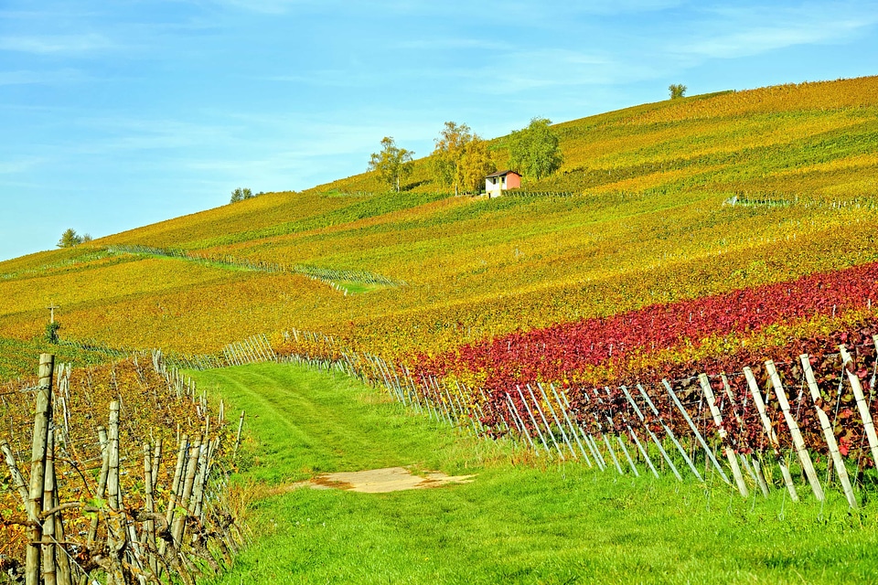 Agriculture countryside farmland