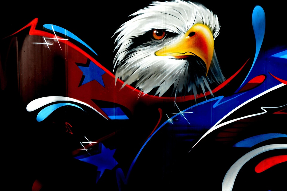 Art beautiful photo bird