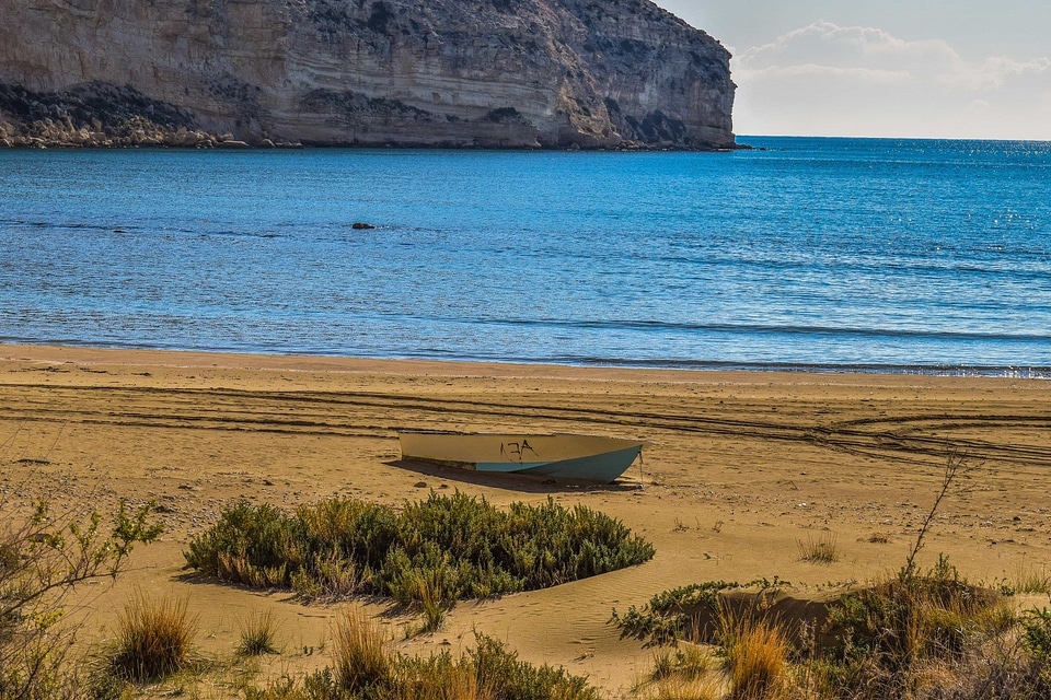 Beach climate coast photo