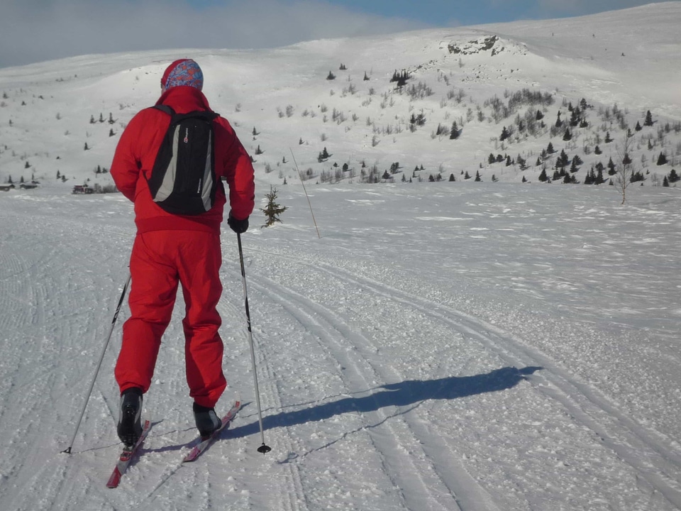 Active activity adventure