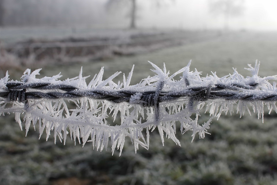 Barbed Wire beautiful photo climate